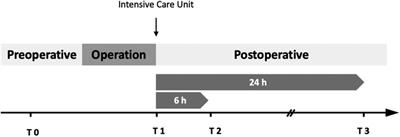Promising results of a clinical feasibility study: CIRBP as a potential biomarker in pediatric cardiac surgery